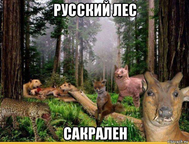 РУССКИЙЛЕС: 7% САКРАЛЕН