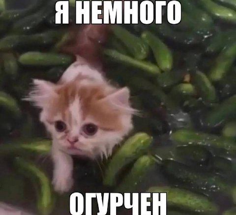 Я НЕМНОГО ОГУРЧЕЦ