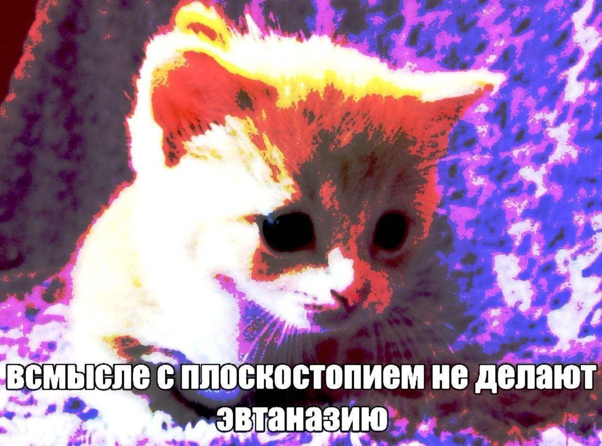 He делают эвтаназию