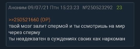 Аноним 09/07/21 Птн 15:23:23 №250523292 23 >>250521660 твой мозг залит спермой и ты ссмотришь на мир через сперму ты неадекватен в суждениях своих как наркоман
