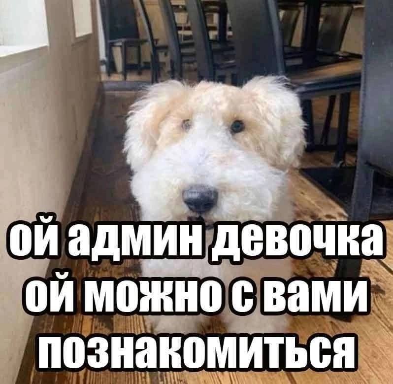 оиадмин девочка МОЖНО Вами познакомиться
