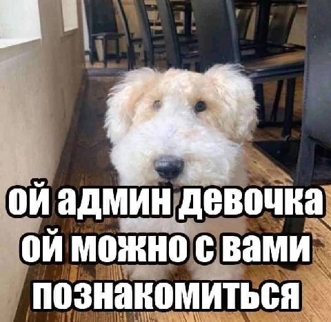 оиадмин девочка МОЖНО Вами познакомиться