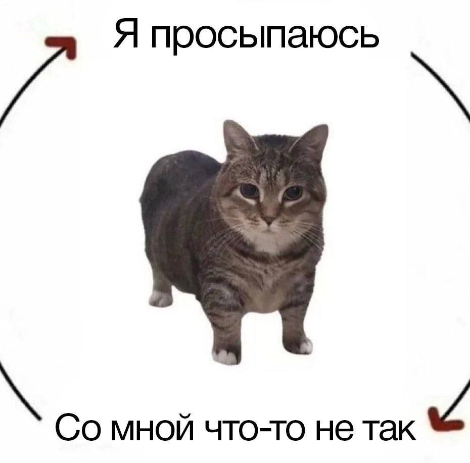 Я просыпаюсь мной что-то не так