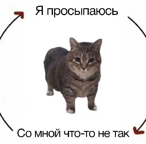 Я просыпаюсь мной что-то не так