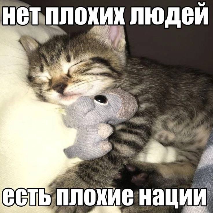плохих людей HET, 2 all охиен