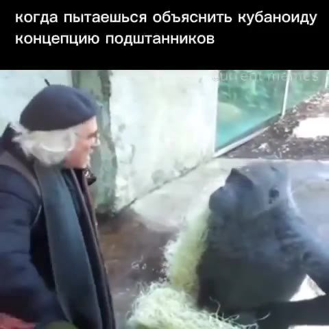 когда пытаешься объяснить кубаноиду концепцию подштанников