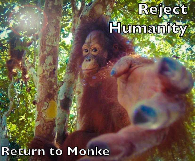 a “4 4. 4 Я a я Return to Monke