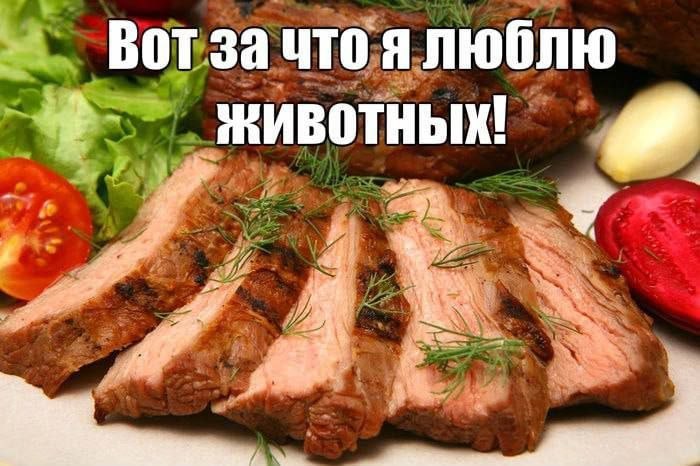 Вот за что я люблю Животных!