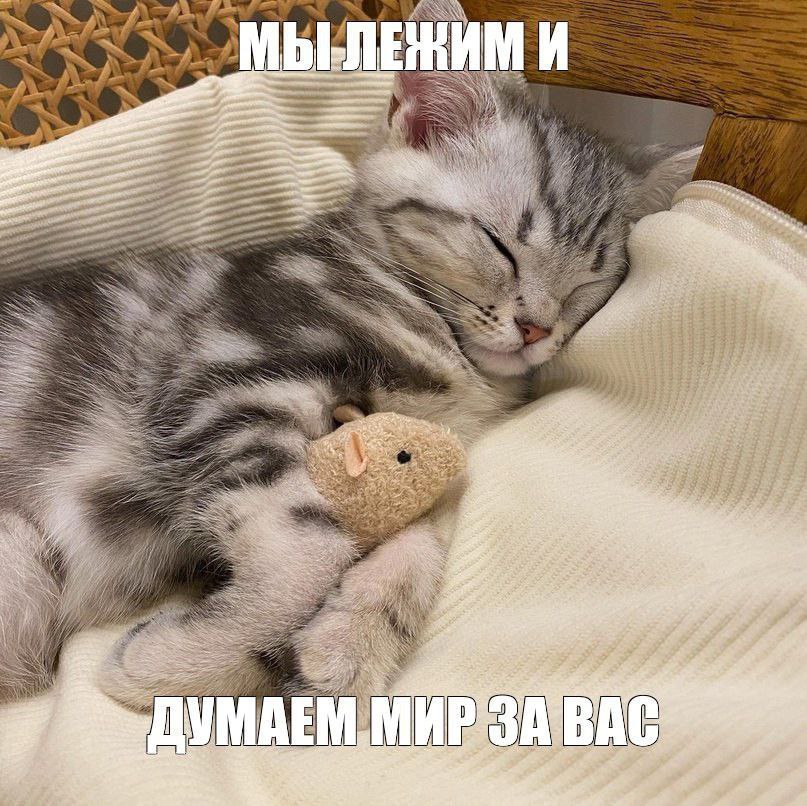 МЫ-ЛЕЖИМ И on auc wal У ON; SAS a MAEM a к