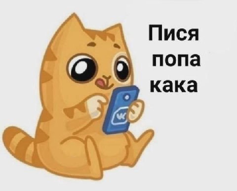Пися попа кака