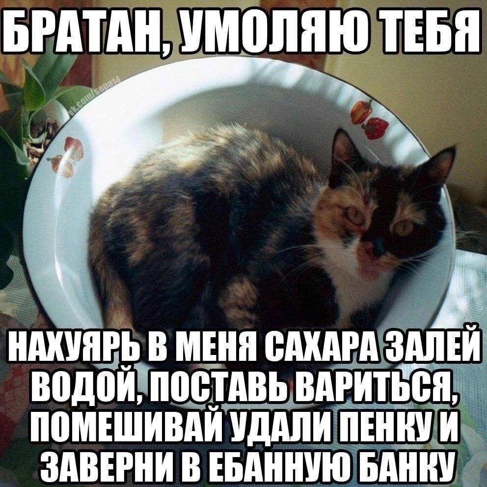 БРАТАН; НАХУЯРЬ В МЕНЯ а ПОМЕШИВАИ УДАЛИ ЗАВЕРНИ В ЕБАННУЮ БАНКУ