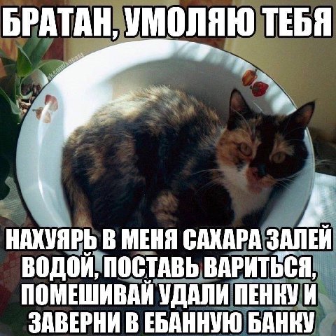 БРАТАН; НАХУЯРЬ В МЕНЯ а ПОМЕШИВАИ УДАЛИ ЗАВЕРНИ В ЕБАННУЮ БАНКУ