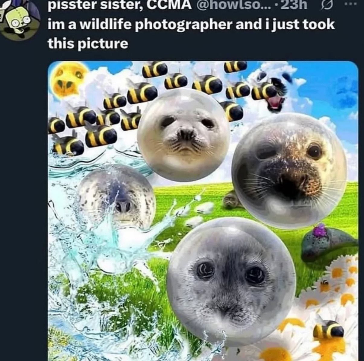 pisster sister, СОМА ima wildlife photographer and took this picture 25) wal A у SAS