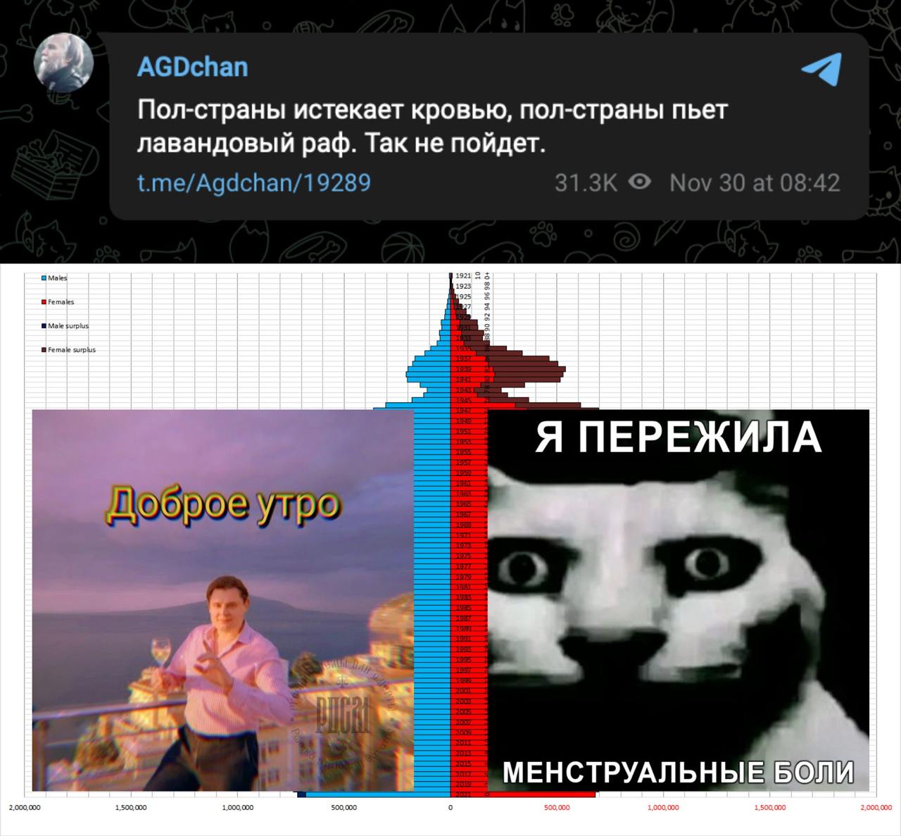 AGDchan 4 Пол-страны истекает кровью, пол-страны пьет лавандовый раф. Так не пойдет. t.me/Agdchan/19289 A ПЕРЕЖИЛА 1 1 МЕНСТРУАЛЬНЫЕ Боли