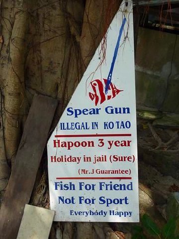 Spear Gun Hapoon 5 year Holiday in jail (Sure) (Mr.J Guarantee) Fish For Friend Not For Sport Happy he
