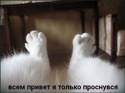 привет я только проснувся