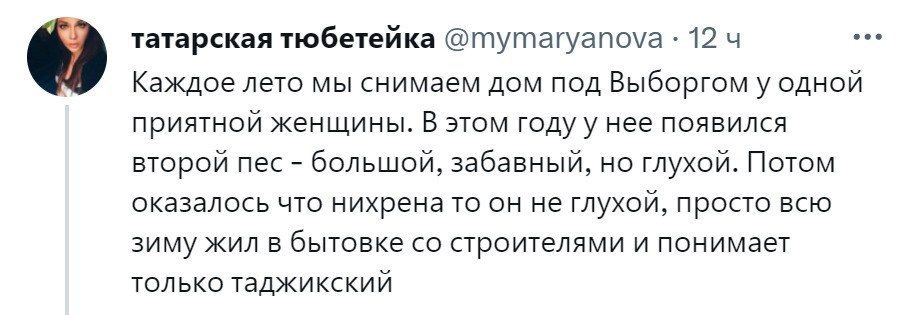 татарская тюбетейка @Mymaryanova 12 Каждое лето мы снимаем дом под Выборгом у одной приятной женщины. В этом году у нее появился второй пес большой, забавный, но глухой. Потом оказалось что нихрена то