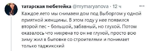 татарская тюбетейка @Mymaryanova 12 Каждое лето мы снимаем дом под Выборгом у одной приятной женщины. В этом году у нее появился второй пес большой, забавный, но глухой. Потом оказалось что нихрена то
