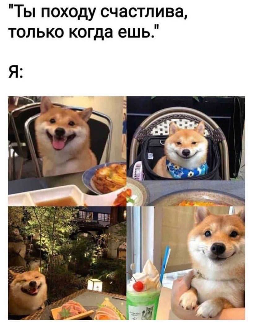 Ты походу счастлива только когда ешь Я a A "4