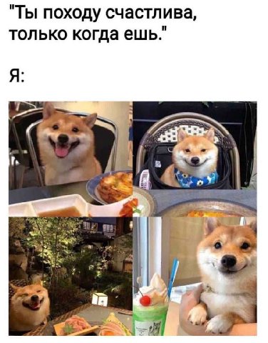 Ты походу счастлива только когда ешь Я a A "4
