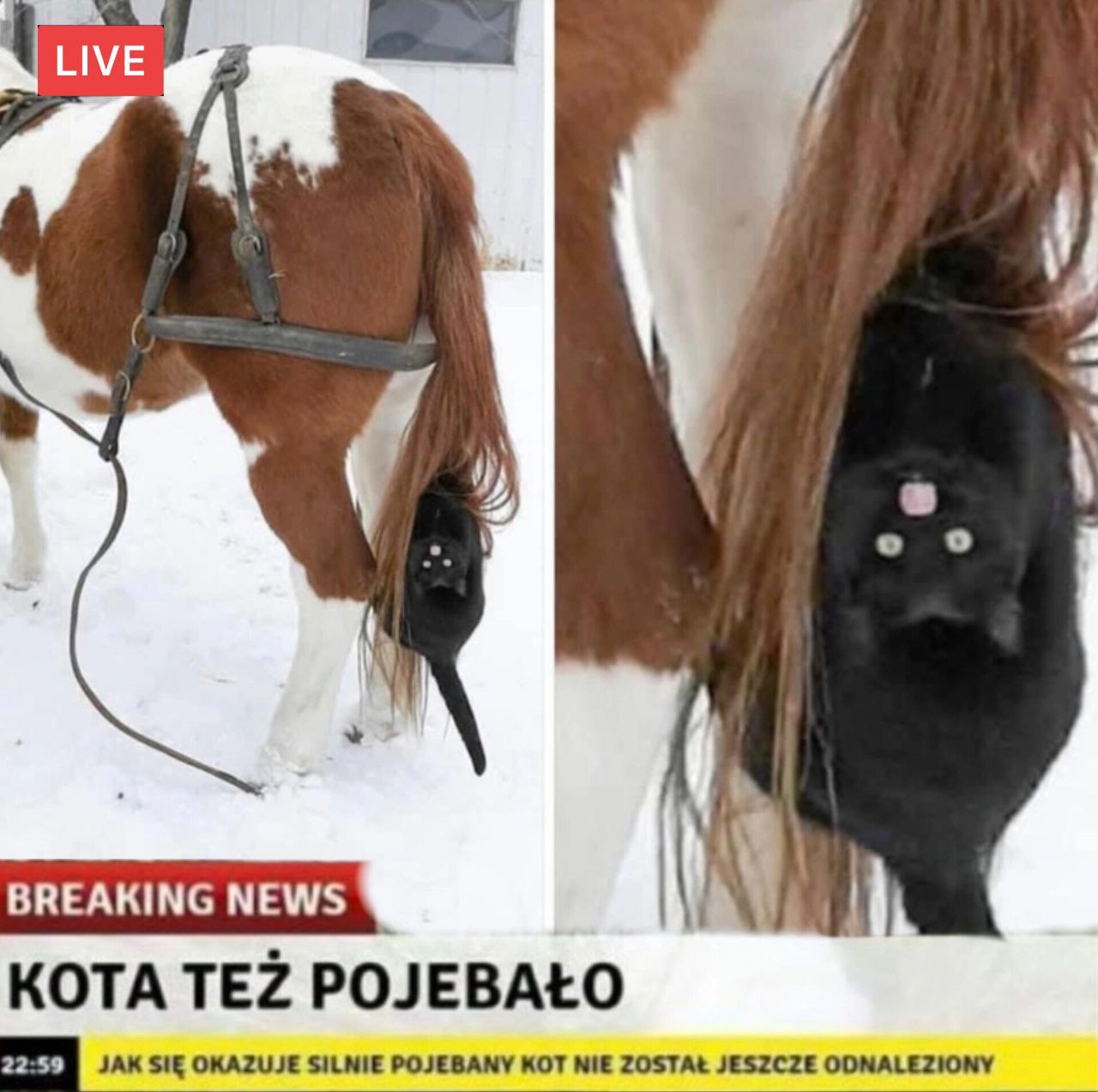 Доброе утро
