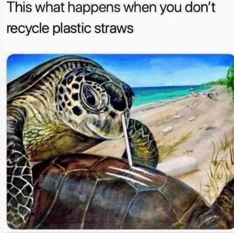 This what happens when you don't recycle plastic straws Led $4 #527. Я А