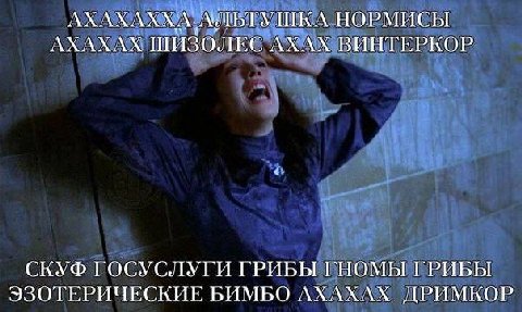 АХАХАХХ\ ЛИБТУШКА НОРМИСЫ AXAXAX ШИЗОЛЕС АХАХ ВИНТЕРКОР СКУФ ГОСУСЛУГИ ГРИБЫ ГНОМЫ ГРИБЫ ЭЗОТЕРИЧЕСКИЕ БИМБО АХАХАХ ДРИМКОР