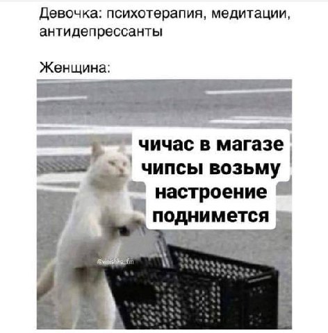 Девочка: психотерапия, медитации, антидепрессанты Женщина: чичас в магазе чипсы возьму настроение поднимется