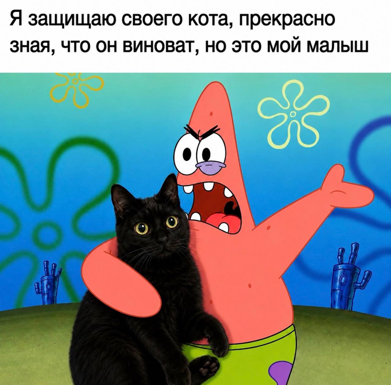 Я защищаю своего кота, прекрасно зная, что он виноват, но это мой малыш у