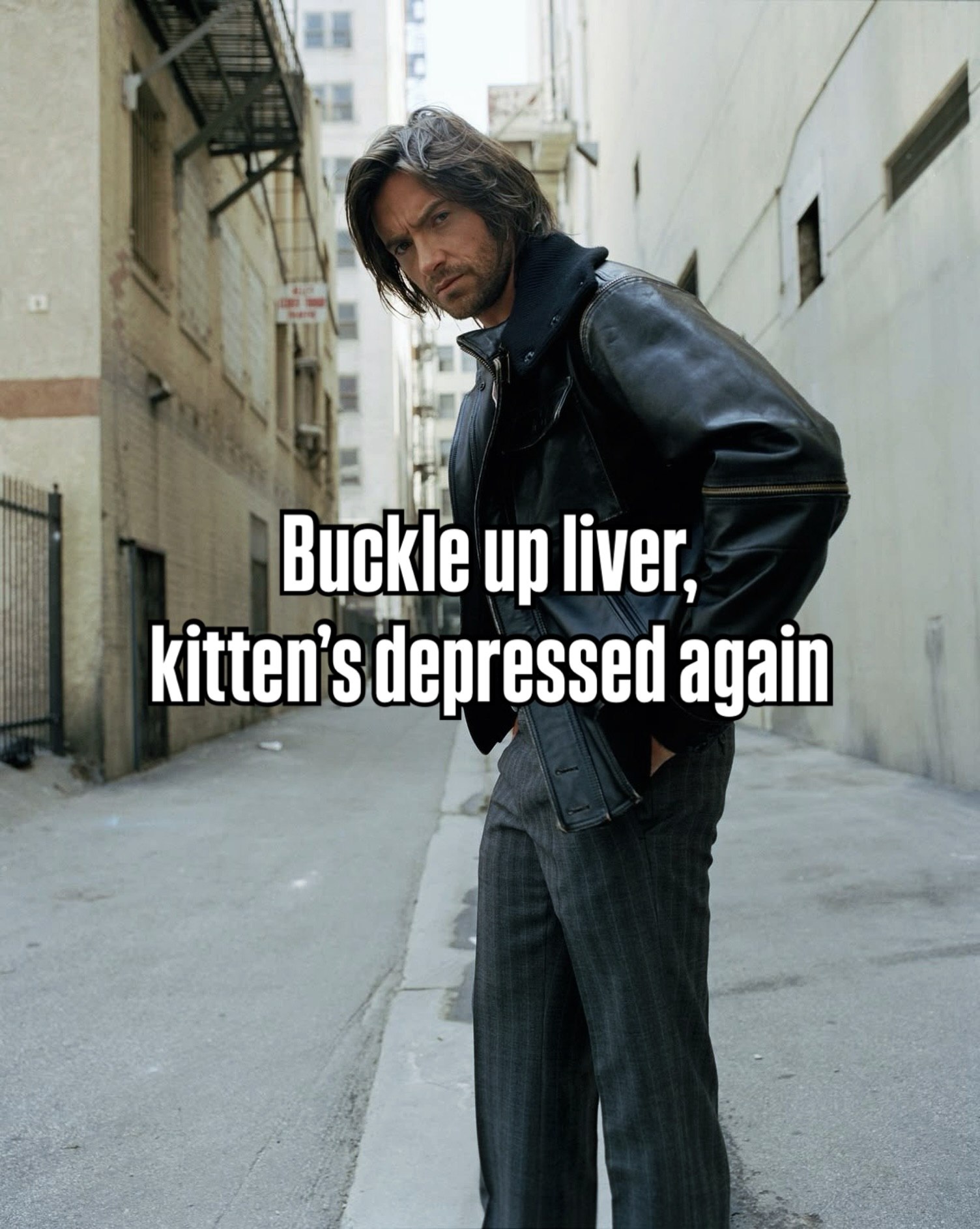 up liver, kitten’s depressed again
