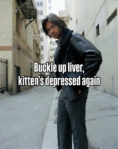 up liver, kitten’s depressed again