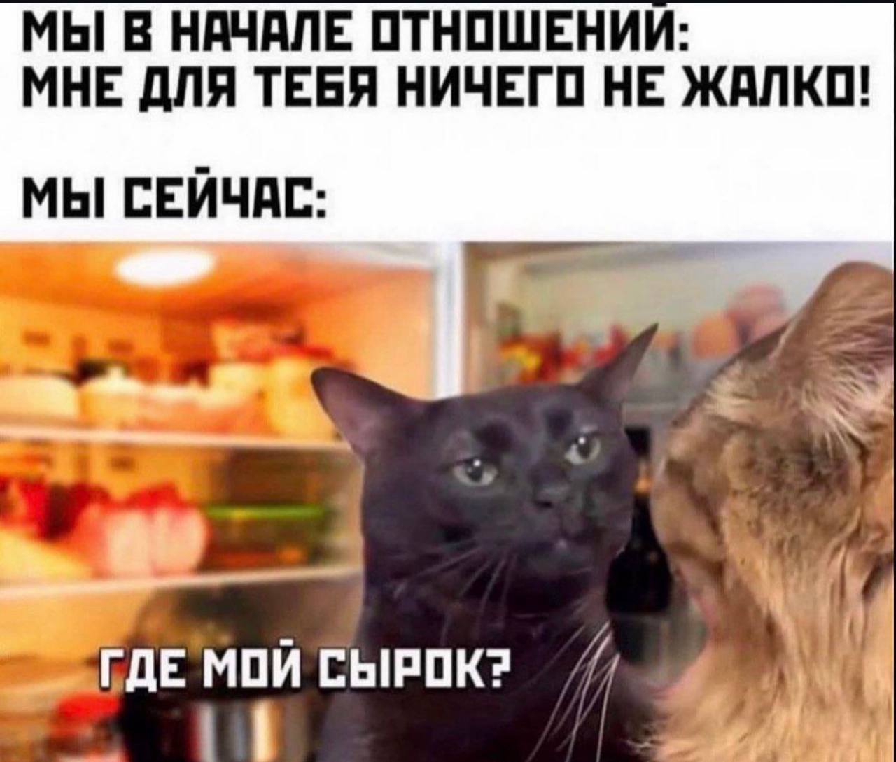 МЫ В НАЧАЛЕ ОТНОШЕНИИ: МНЕ ДЛЯ ТЕБЯ НИЧЕГО НЕ ЖАЛКО! МЫ СЕЙЧАС: “i МОЙ СЫРОК?