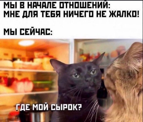 МЫ В НАЧАЛЕ ОТНОШЕНИИ: МНЕ ДЛЯ ТЕБЯ НИЧЕГО НЕ ЖАЛКО! МЫ СЕЙЧАС: “i МОЙ СЫРОК?