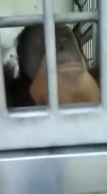 Да, это админ (оба)