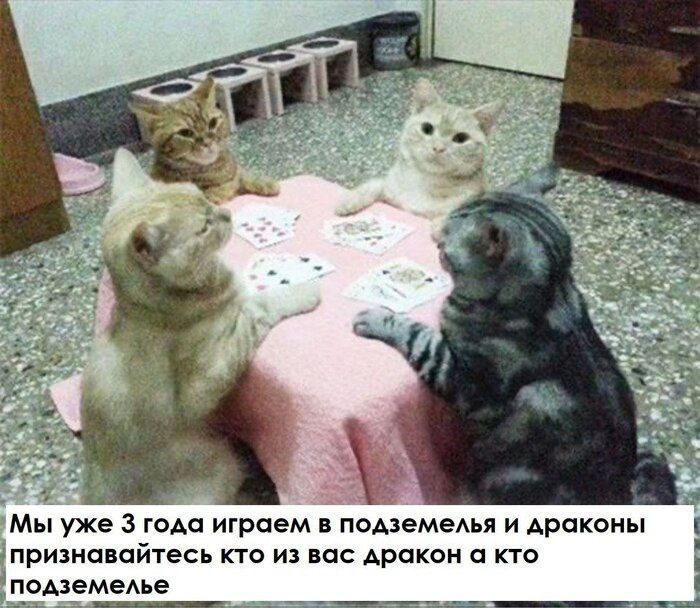 Мы уже 3 года играем в подземелья и драконы признавайтесь кто из вас дракон а кто подземелье