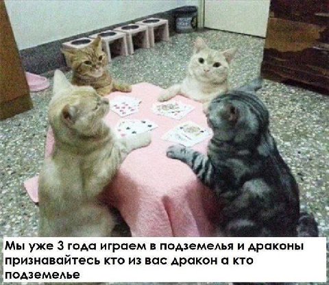Мы уже 3 года играем в подземелья и драконы признавайтесь кто из вас дракон а кто подземелье