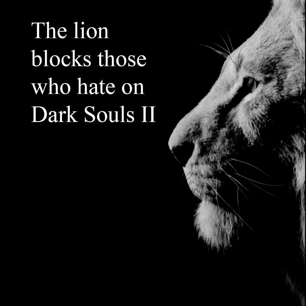 The lion blocks those who hate on Dark Souls