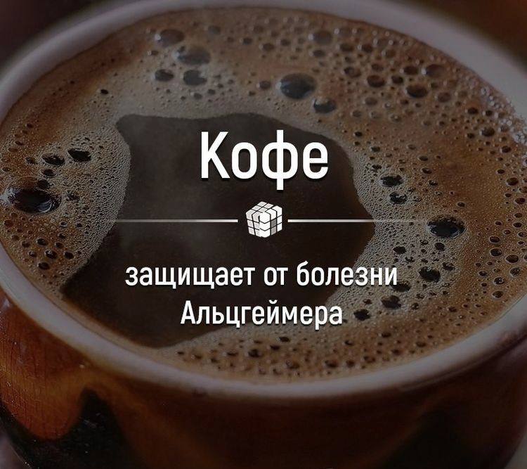 Кофе защищает от болезни Альцгеймера