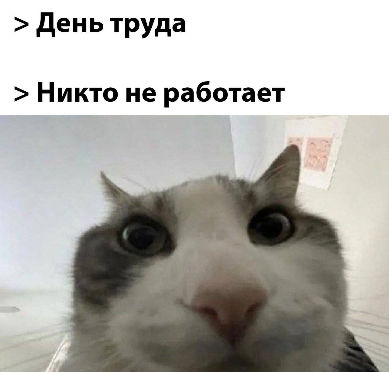 День труда Никто не работает
