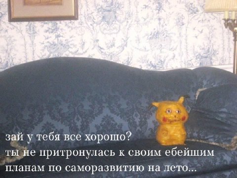 a зай у тебя все хорошо? притронулась к своим ебейшим. планам по саморазвитию на лето