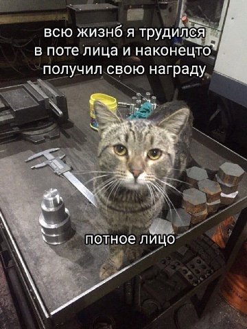 всю жизнб я трудился в поте лица и наконецто` получил свою награду 7 потное лицо