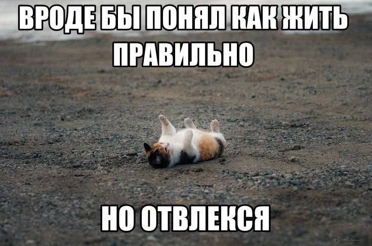 ВРОДЕБЫ ЖИТЬ ПРАВИЛЬНО ОТВЛЕНСЯ