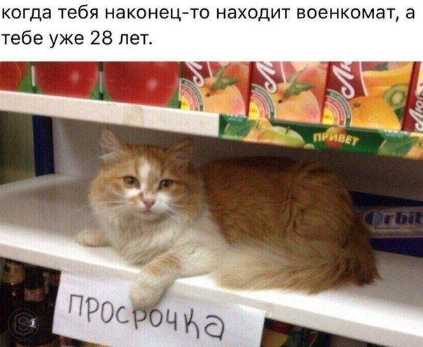 когда тебя наконец-то находит военкомат, а тебе уже 28 лет.