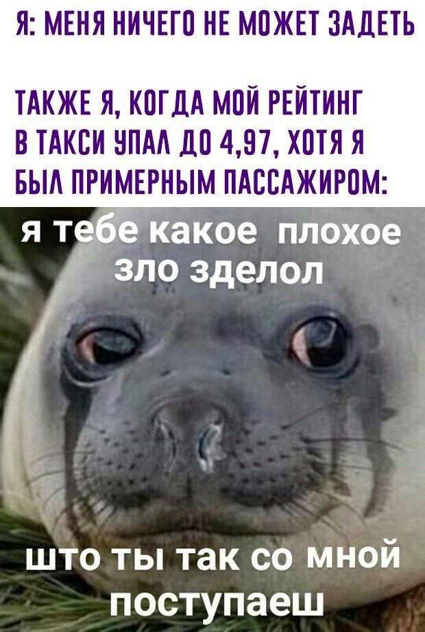 Я: МЕНЯ НИЧЕГО НЕ МОЖЕТ ЗАДЕТЬ ТАКЖЕ Я, КОГДА МОЙ РЕЙТИНГ В ТАКСИ УПАЛ ДО 4,97, ХОТЯЯ БЫЛ ПРИМЕРНЫМ ПАССАЖИРОМ: я тебе какое плохое зло зделол што ты так мной поступаеш