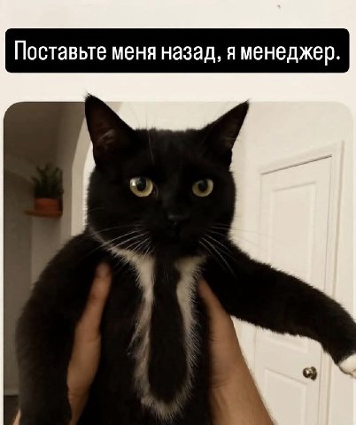Поставьте меня назад, я менеджер.