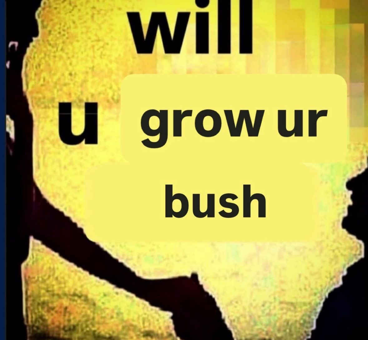 дгом bush