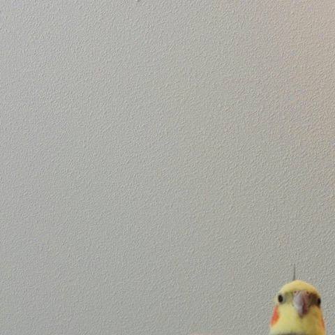НИ he