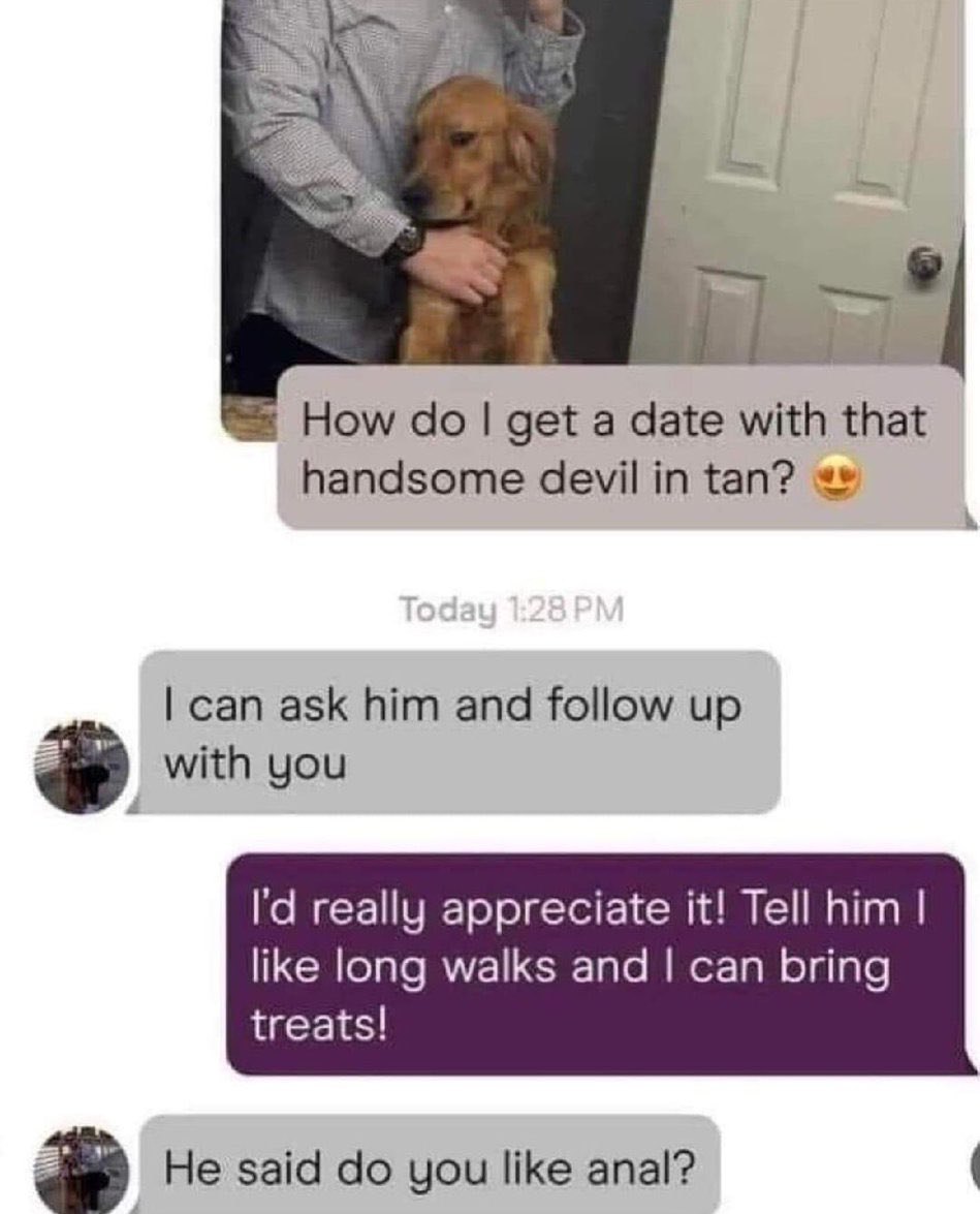 4 How get a date with that handsome devil in tan? can ask him and follow up with you really appreciate it! Tell him like long walks and can bring treats! Не said you like anal?