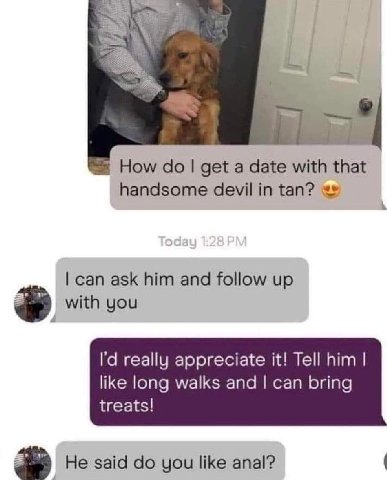 4 How get a date with that handsome devil in tan? can ask him and follow up with you really appreciate it! Tell him like long walks and can bring treats! Не said you like anal?