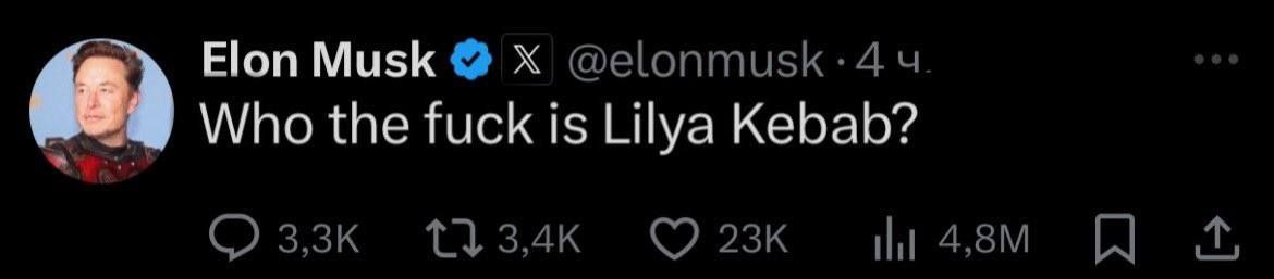 Ноп Musk Who the fuck 1$ Lilya Kebab?